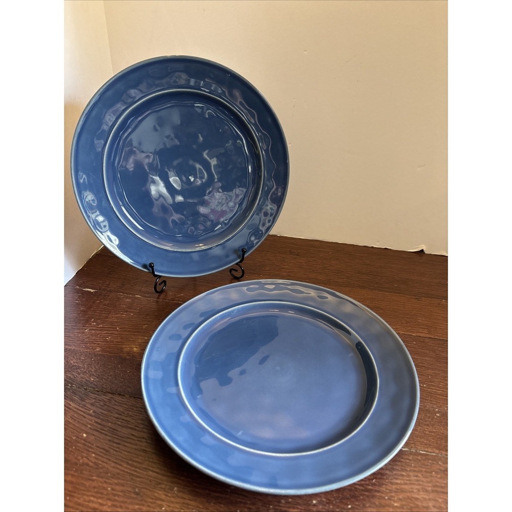 Pottery‎ Barn Cambria Blue Made In Portugal 10.5" Dinner Plates Set Of 2